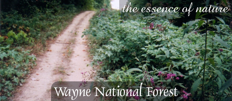 Wayne National Forest: Still Not&nbsp;Safe
