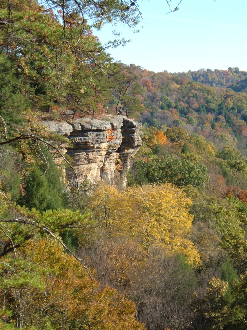 Hocking Hills – To Log Or To&nbsp;Preserve?
