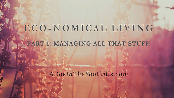 Eco-nomical Living: Stuff&nbsp;Management