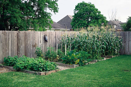 Garden beds