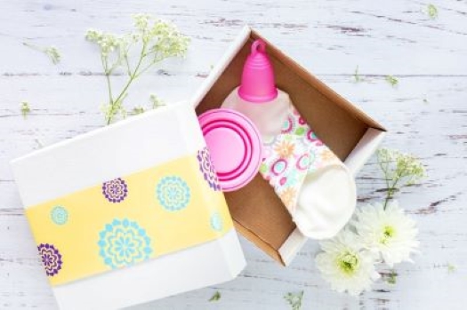 Feminine Care Prepping & Alternative&nbsp;Products