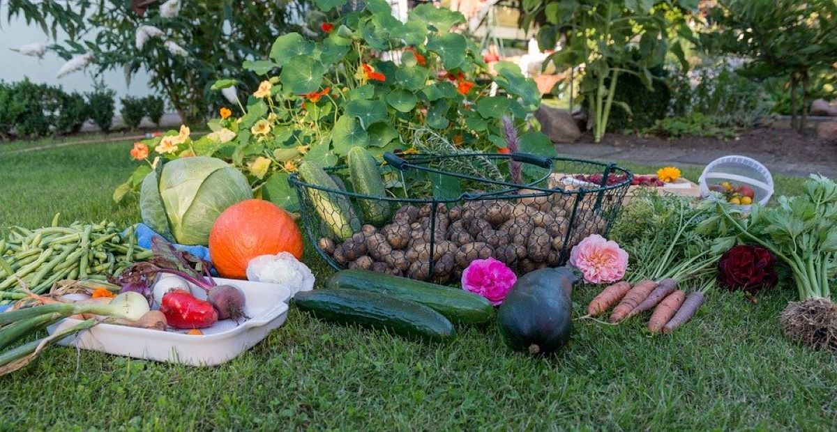 A Multi-Fold Harvest