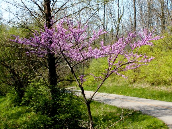 Spring Catch-up