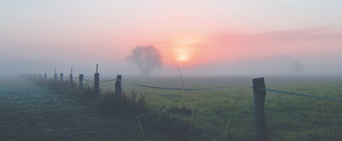 Is The Fog Finally&nbsp;Lifting?